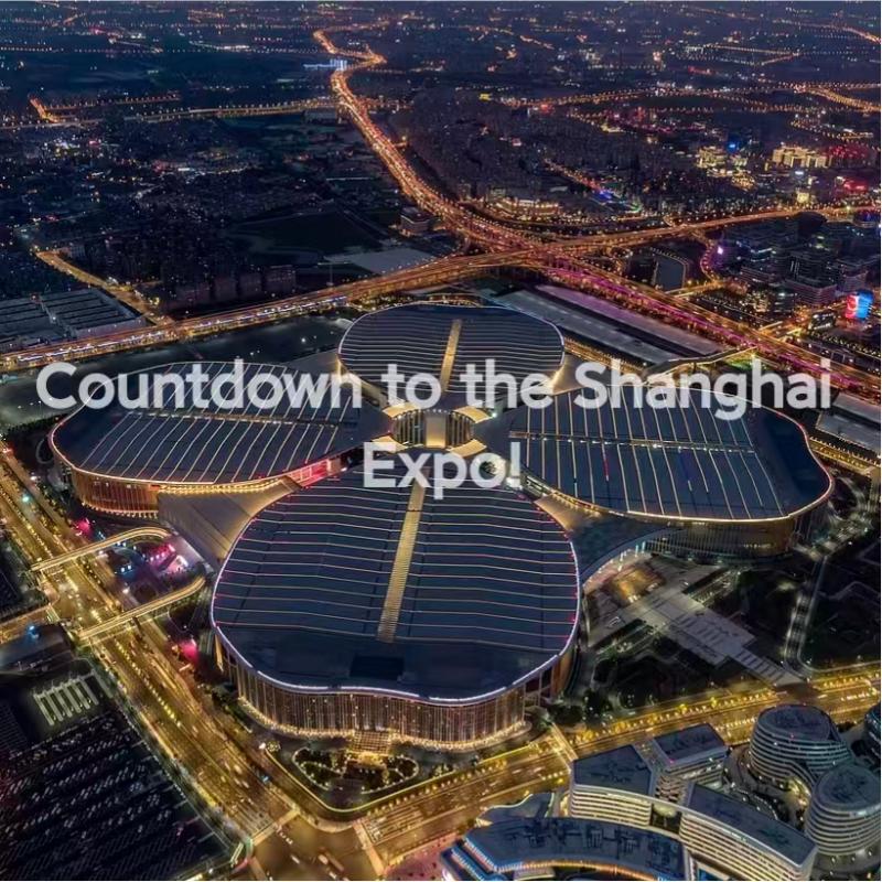 Shanghai Expo